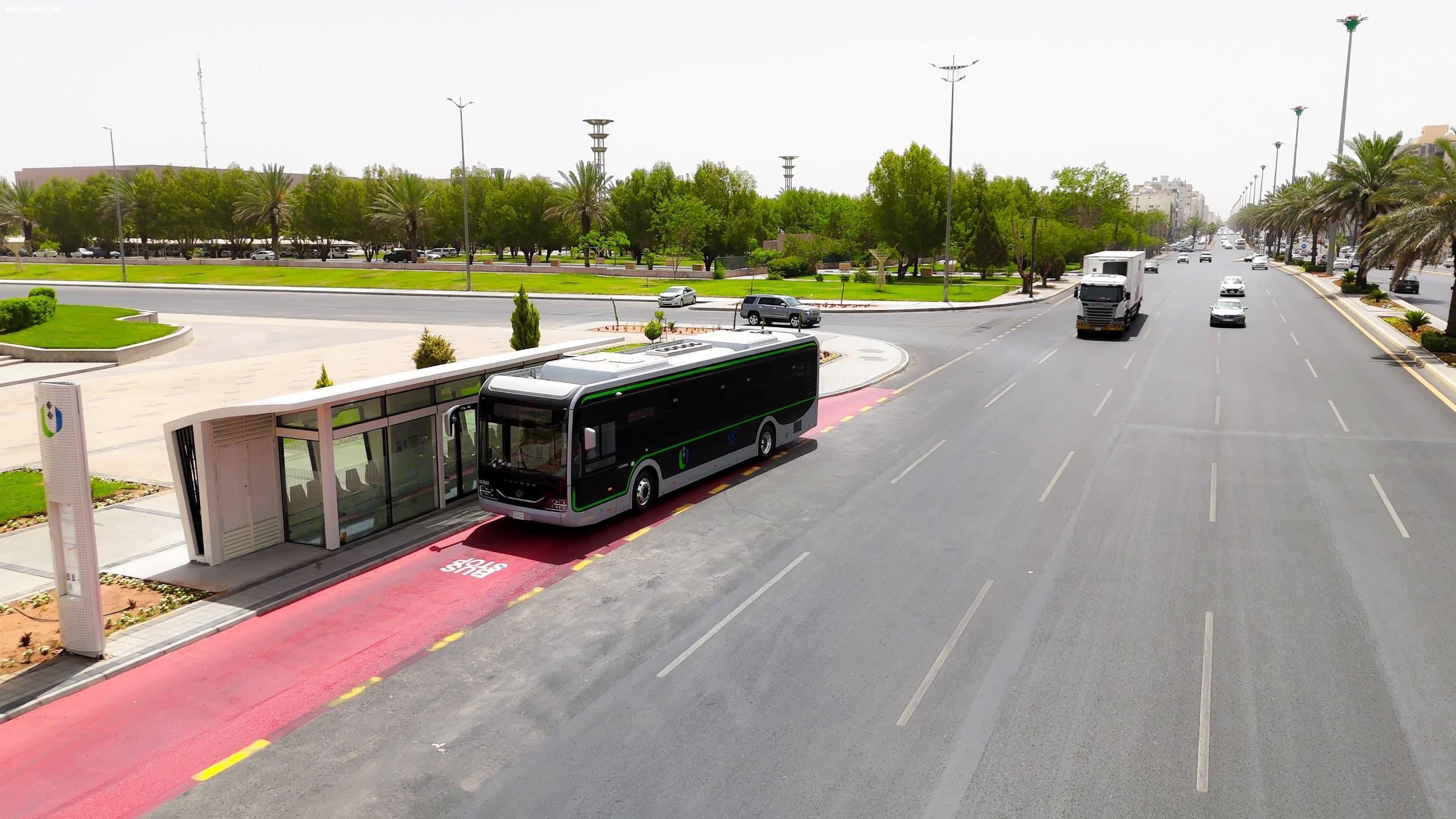 159 ألف راكب في تبوك.. النقل العام يعيد تشكيل حركة المدينة 