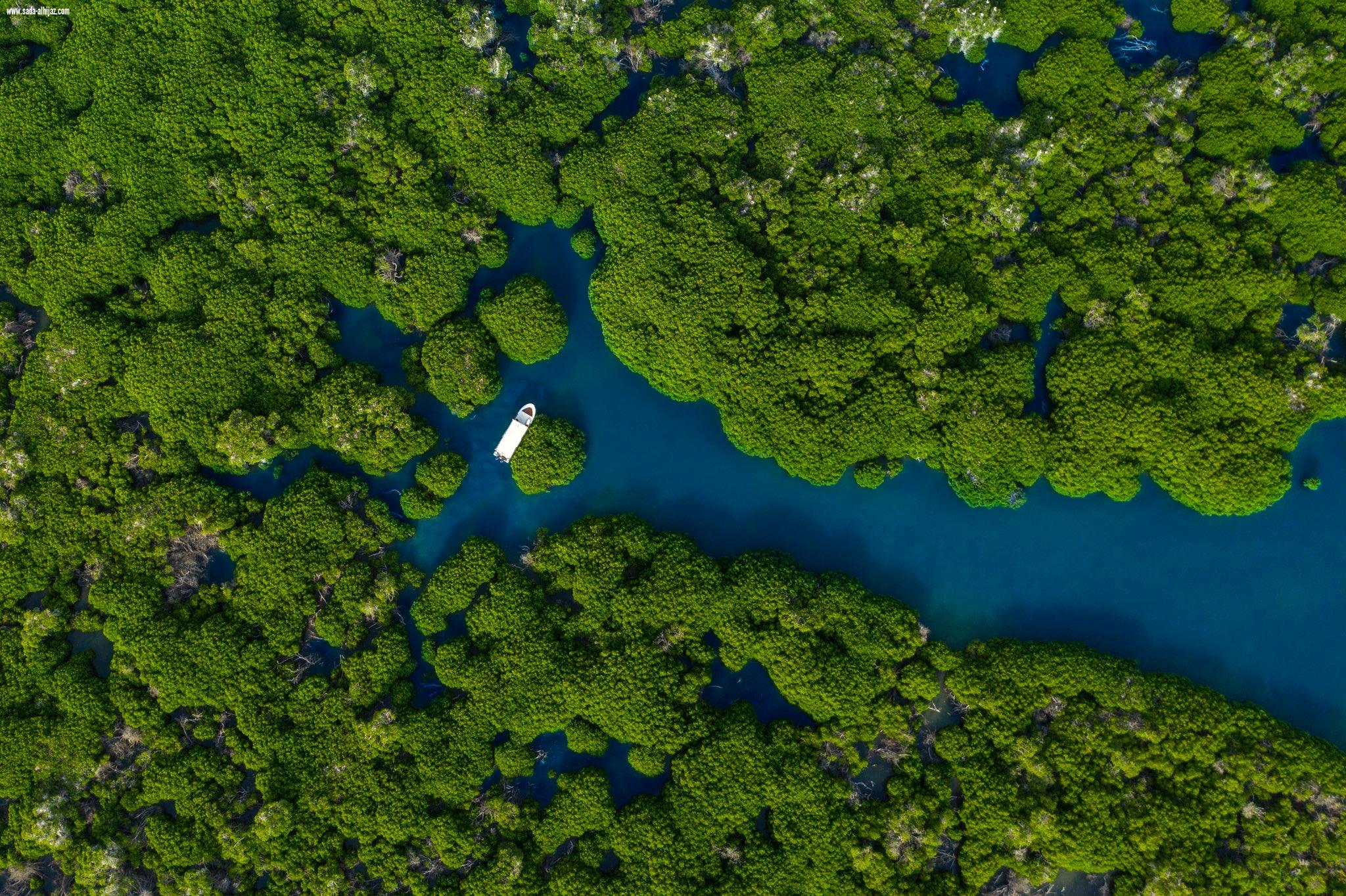 تقديم ملف محمية جزر فرسان لتسجيلها في اليونسكو