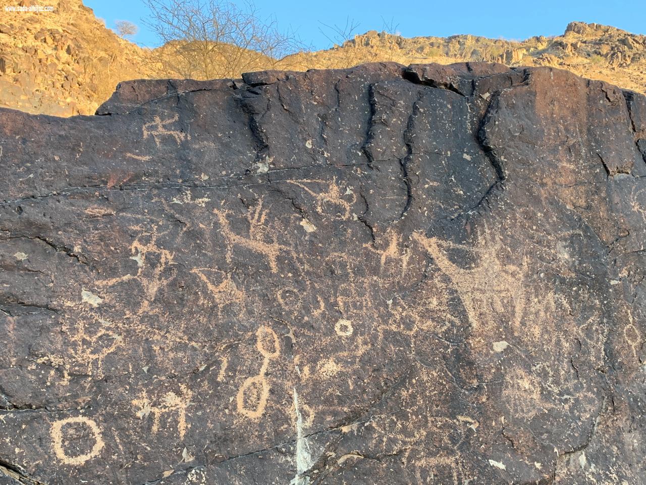 ( بالصور.. نقوش ورسوم صخرية تروي حضارة ديار فهم قديماً )