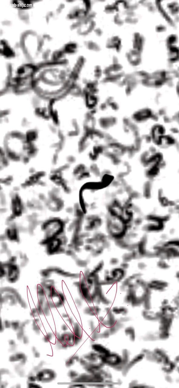 موت حروفٍ بكماء ..