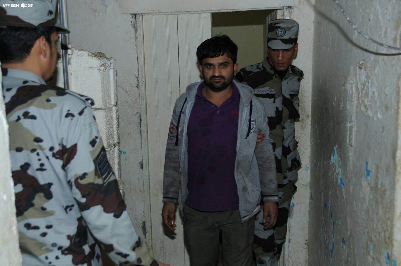 وطن بلا مخالف مستمرة في المدينة المنورة 