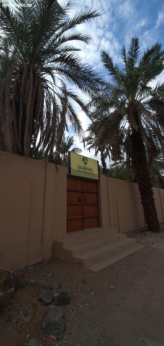 المرشد السياحي عبدالله بخاري:أناشد أهل المدينة أن يعرفوا تاريخهم ...