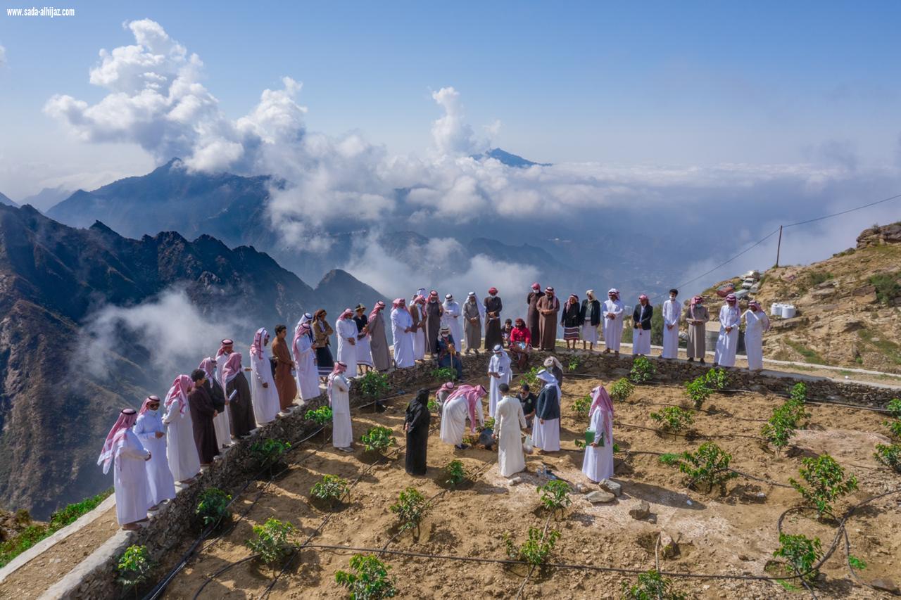 مكتب البيئة بالدائر يقيم ورشة تدريبية لمزارعي البن في تقليم و تسميد أشجار البن