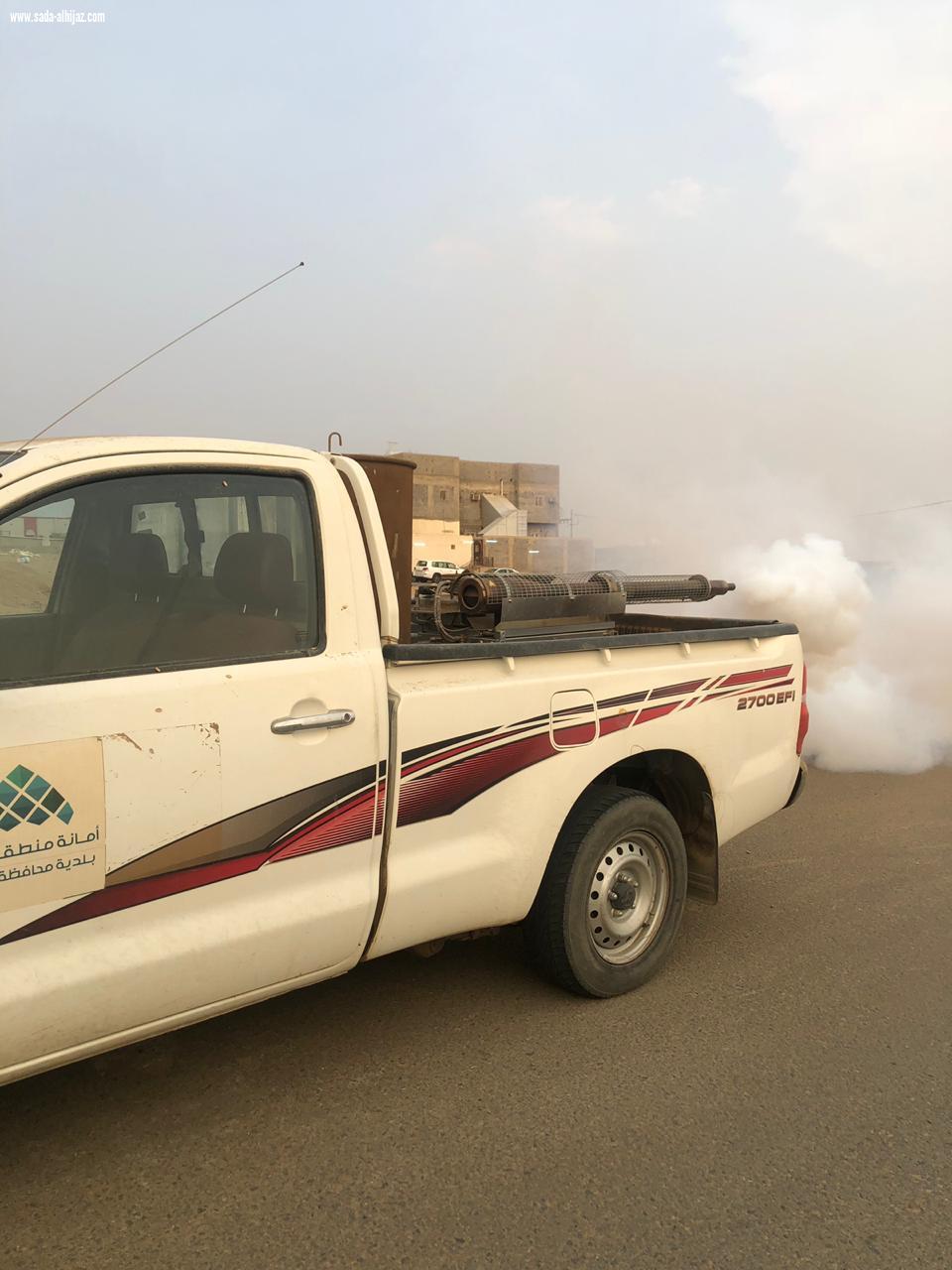 بلدية محافظة الطوال تكثف أعمال الإصحاح البيئي لمكافحة آفات الصحة العامة