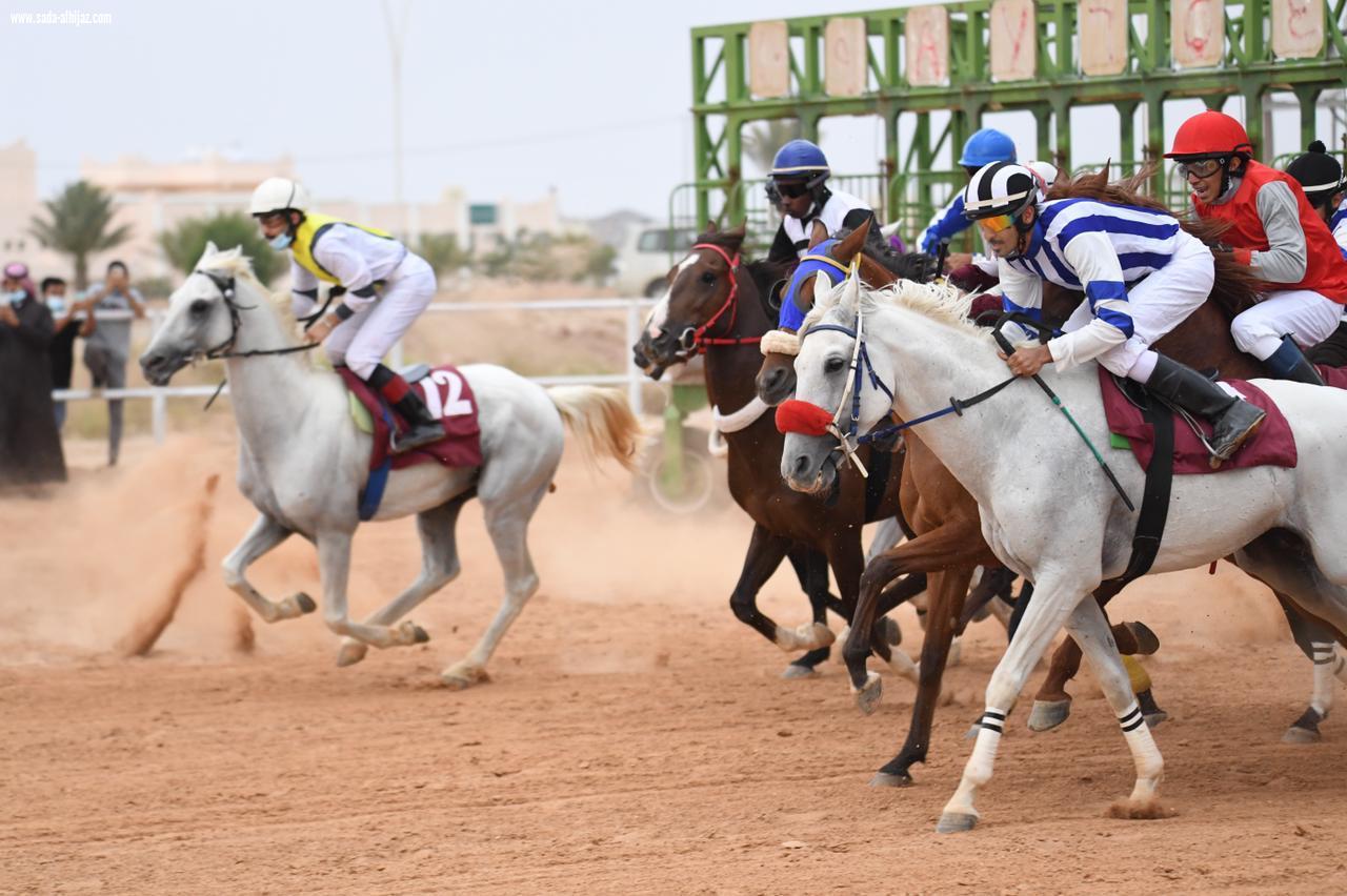 *ستون ألف ريال جوائز الفائزين في المحفل الثالث على ميدان فروسية العقيق بالباحة*