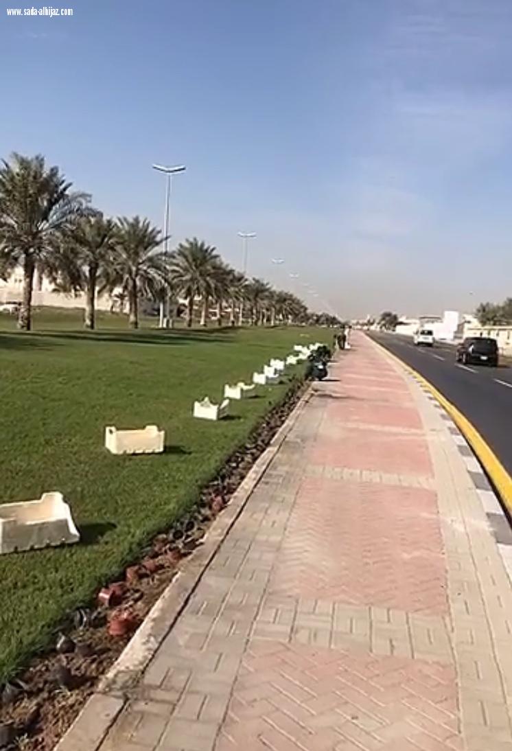 بلدية الخبر تزين مدينتها بالاشجار والورود 
