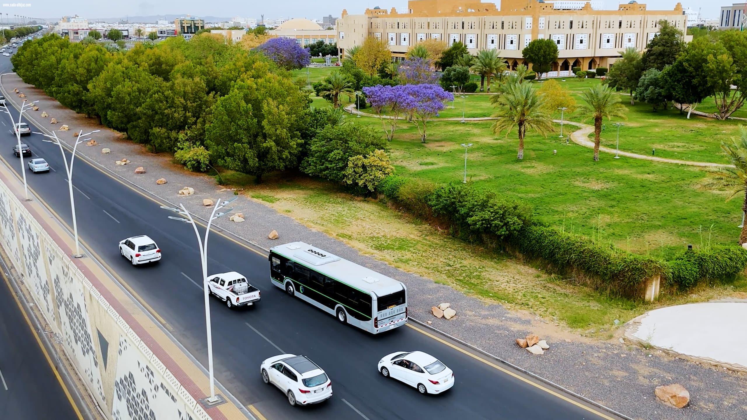 159 ألف راكب في تبوك.. النقل العام يعيد تشكيل حركة المدينة 