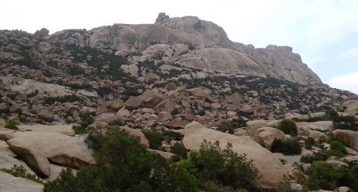 فعالية الهايكنج الأول بمحافظة ميسان بمركز القريع بني مالك