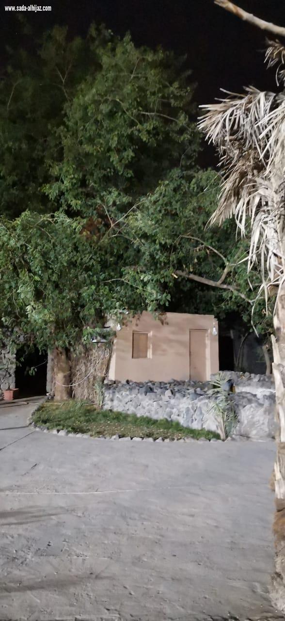 المرشد السياحي عبدالله بخاري:أناشد أهل المدينة أن يعرفوا تاريخهم ...