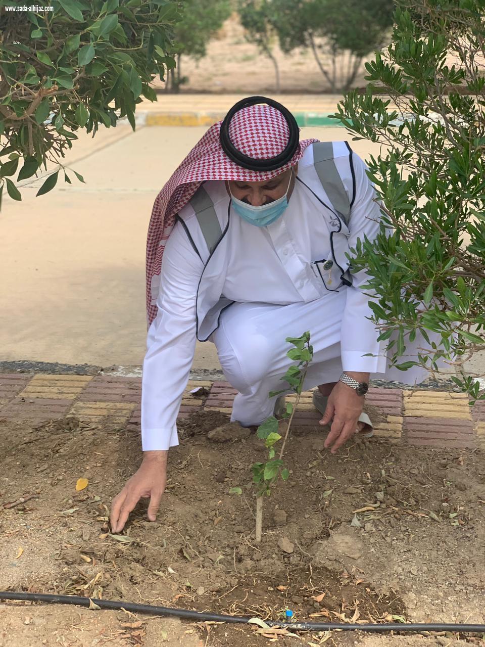 مراكز الاحياء تكرم أبطال الصحة والحراسات الأمنية وتزرع (91) شتلة