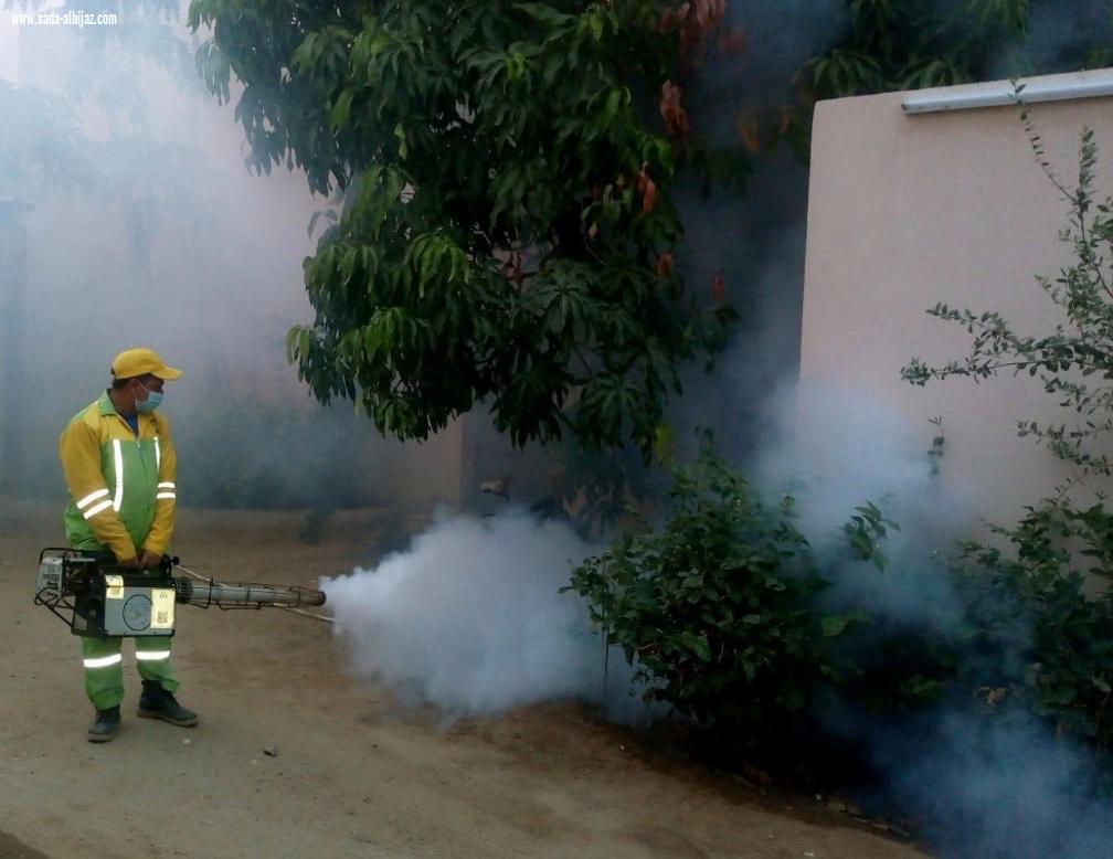 بلدية محافظة الطوال تكثف أعمال الإصحاح البيئي لمكافحة آفات الصحة العامة