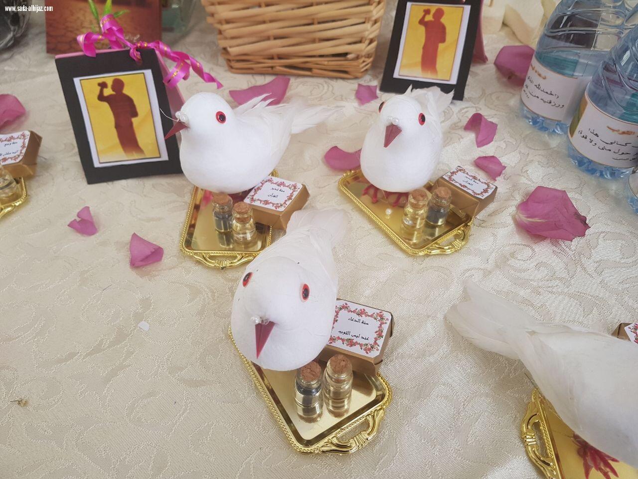 سنن مهجورة بالكلية التقنية للبنات بالمدينة...