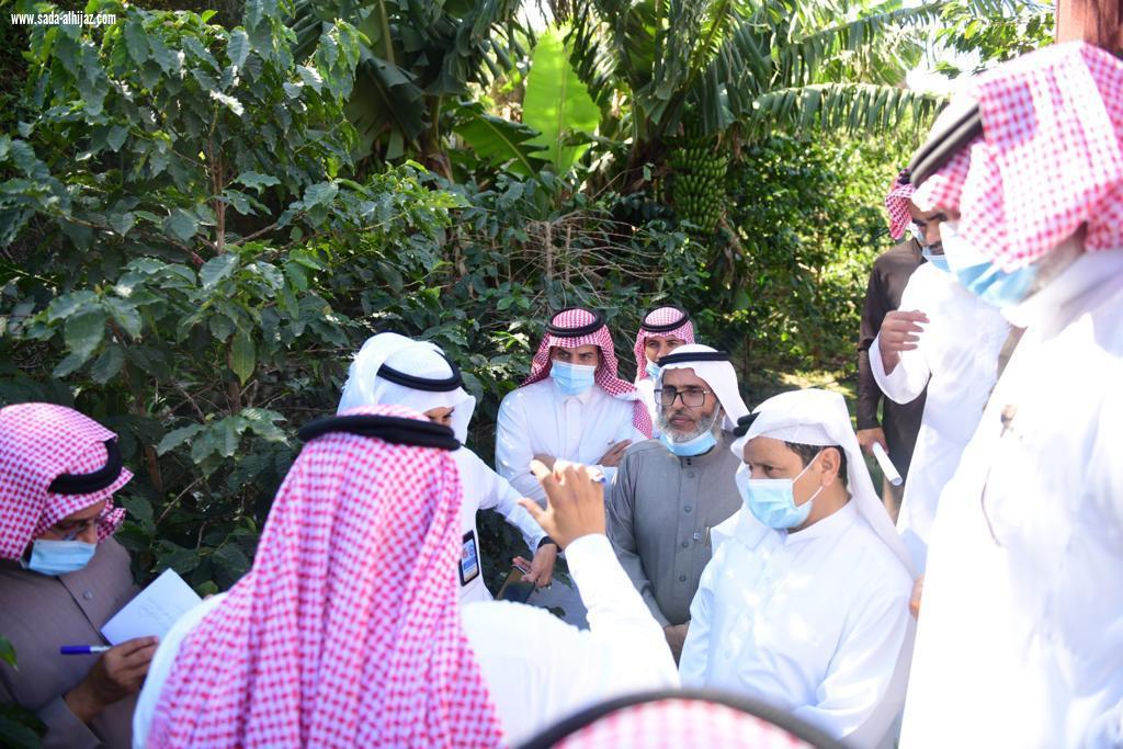 مكتب البيئة بالدائر يقيم ورشة تدريبية لمزارعي البن في تقليم و تسميد أشجار البن