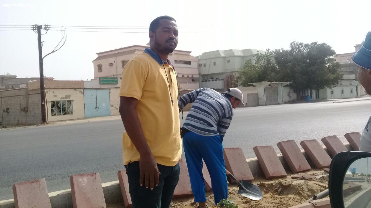 بلدية محافظة الطوال تبدأ بمشروع تحسين وتجميل مداخل ومخارج المحافظة