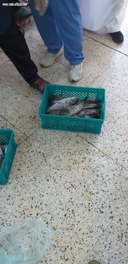أمانة جدة تتلف 194 كيلو من الأسماك الفاسدة وتزيل بسط عشوائية بنطاق خزام