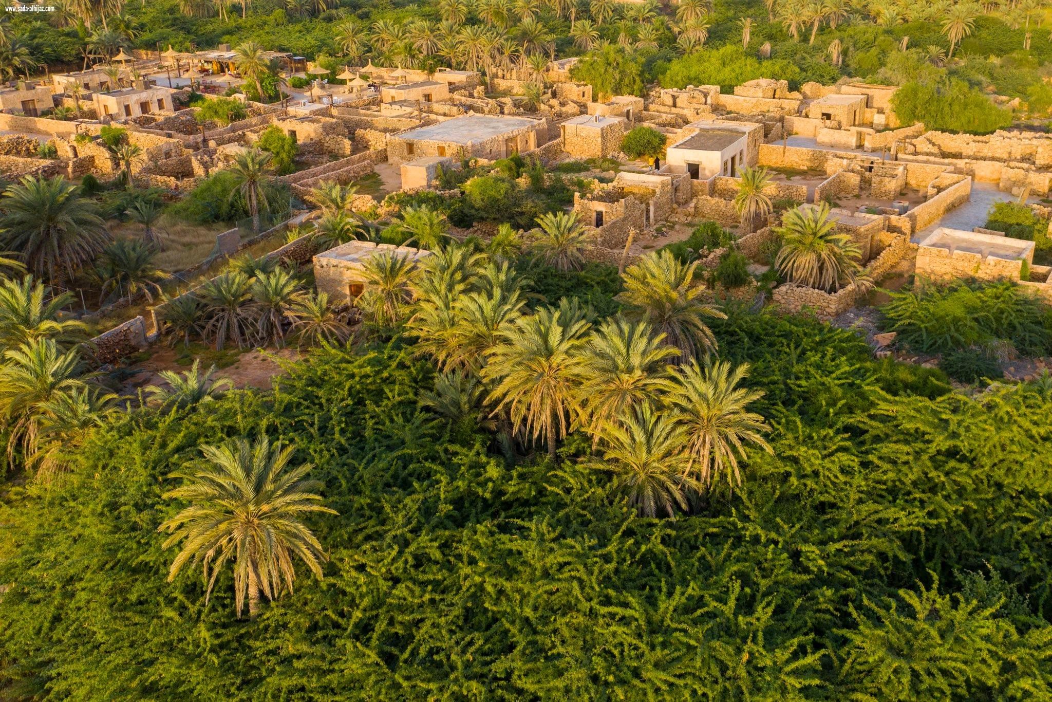 تقديم ملف محمية جزر فرسان لتسجيلها في اليونسكو