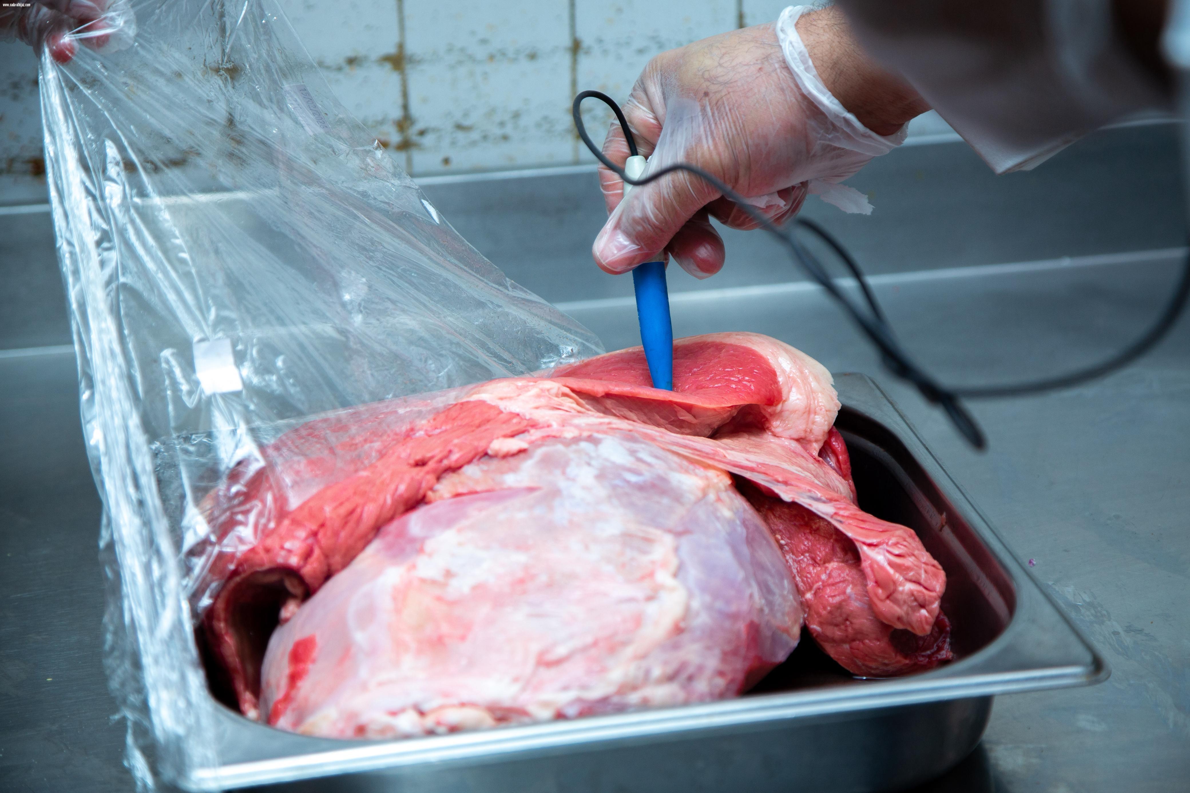 أمانة تبوك تشدد جهودها الرقابية بـ66 ألف زيارة ميدانية متوقعة خلال شهر رمضان  