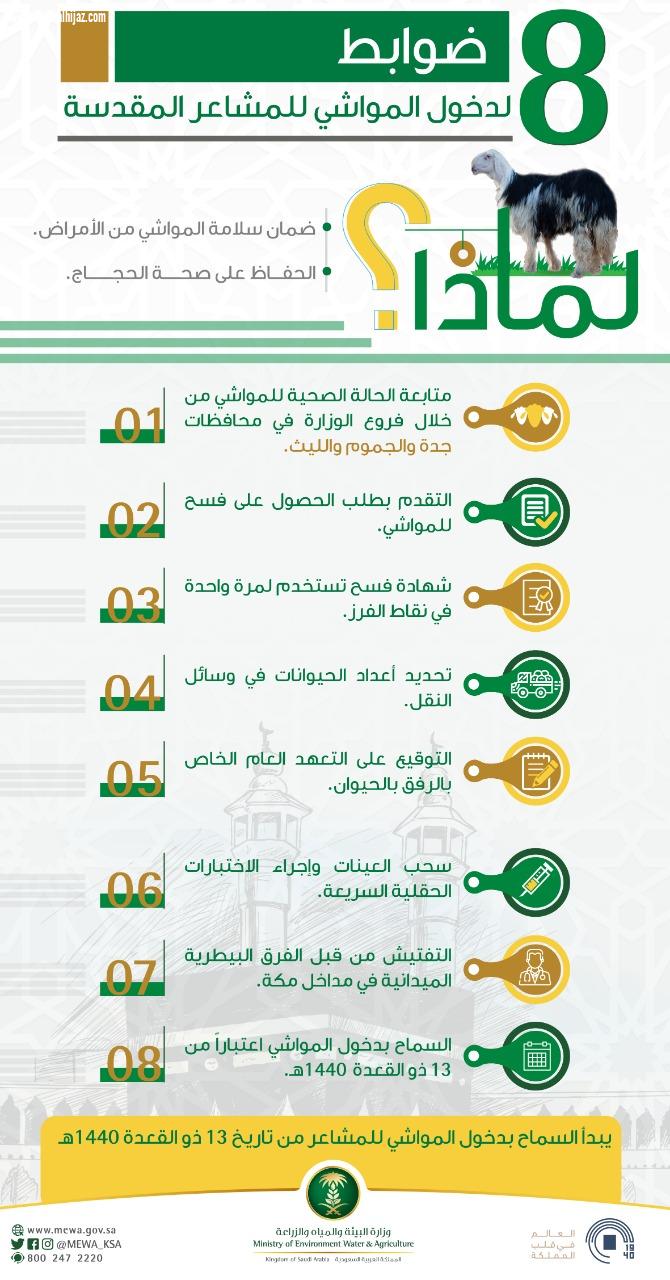 البيئة