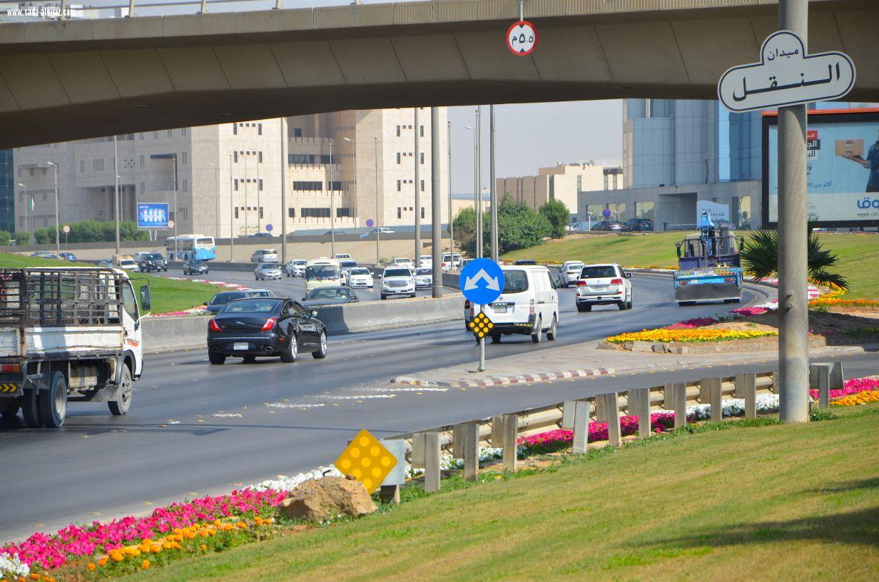 أمانة الرياض تزين ميادينها وطرقها بأكثرمن 5 ملايين زهرة