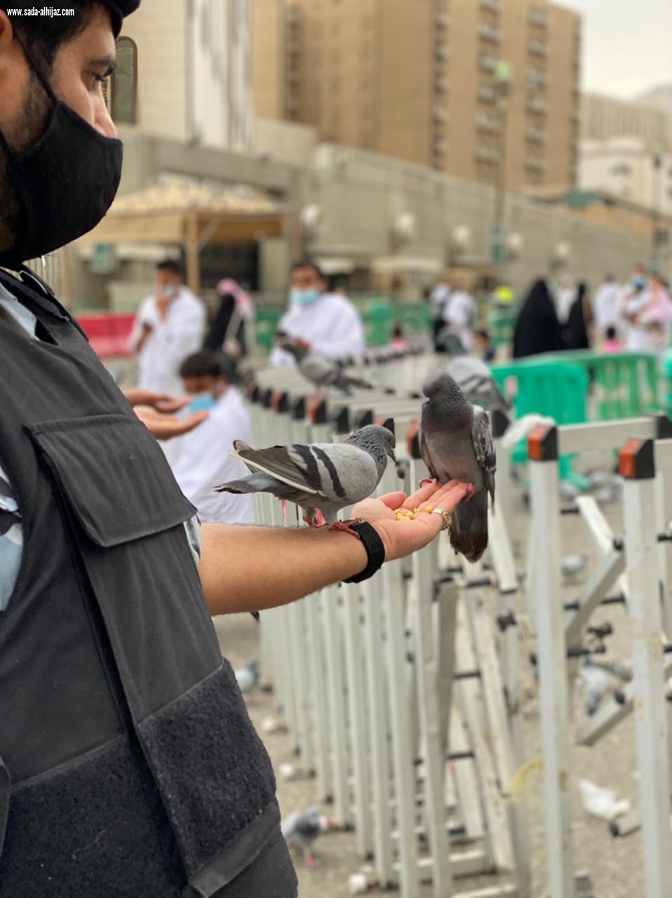 بمناسبة اليوم الوطني ٩١ هي لنا دار مجموعة إسعاد التطوعية تقوم بعدة مبادرات تطوعية
