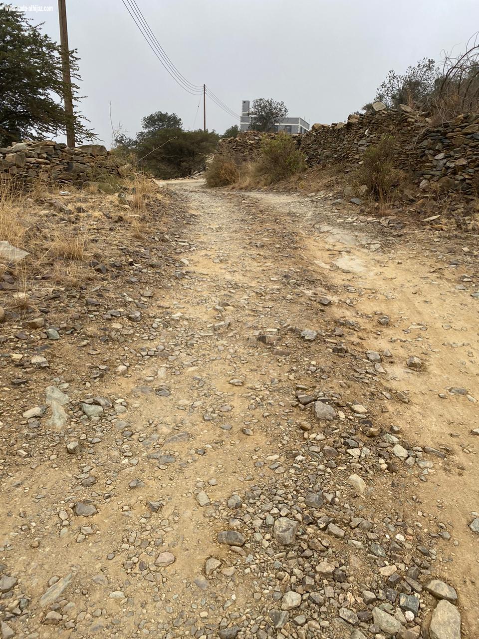 بلدي الباحة يقف على احتياجات جنوب مدينة الباحة ... 