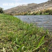 ترج النماص جمال وسياحه... 