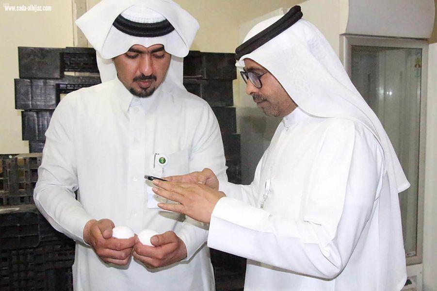 فرع وزارة البيئة بالشرقية يضبط كميات كبيرة من البيض المخزن بغرض الاحتكار