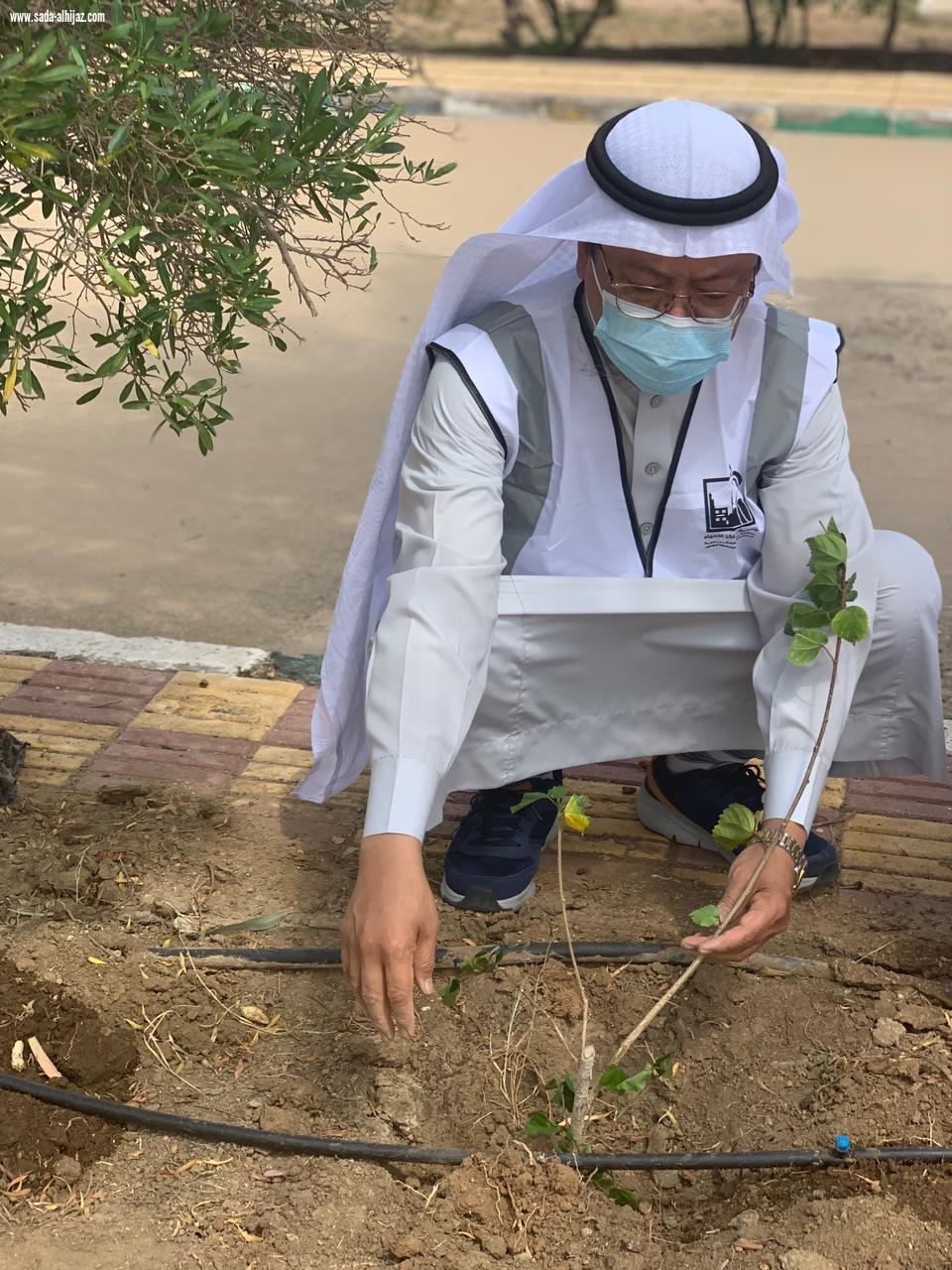 مراكز الاحياء تكرم أبطال الصحة والحراسات الأمنية وتزرع (91) شتلة