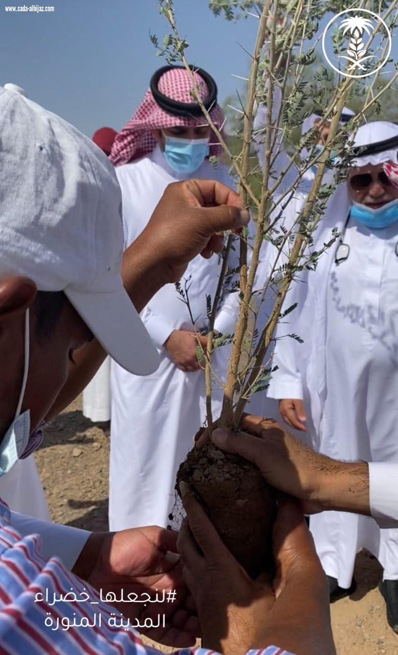 لنجعلها خضراء وزارة البيئة والمياه والزراعة بمنطقة المدينة المنورة تطلق حملة تشجير المدينة