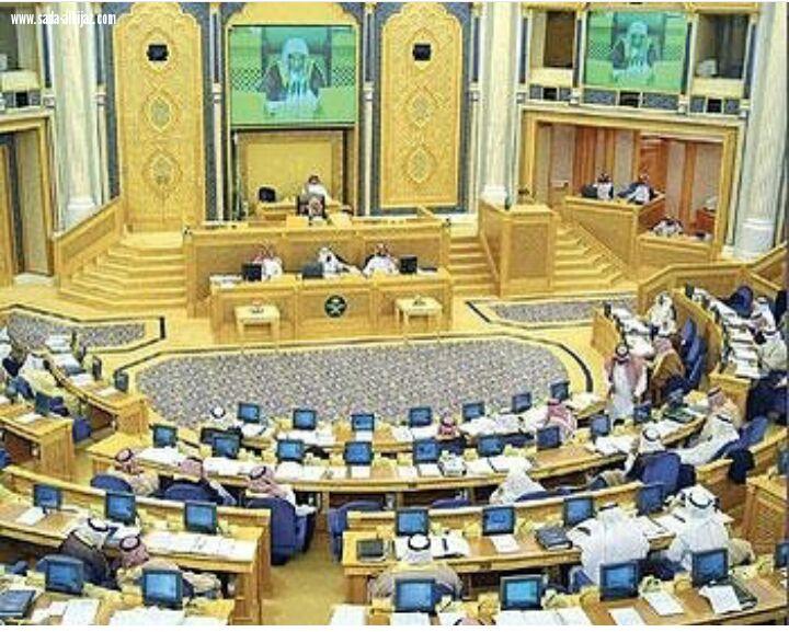 خمسة شروط في مقترح منح الجنسية لأبناء المواطنة 