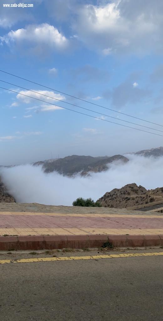 الباحة واحة الغناء و حديقة الحجاز...