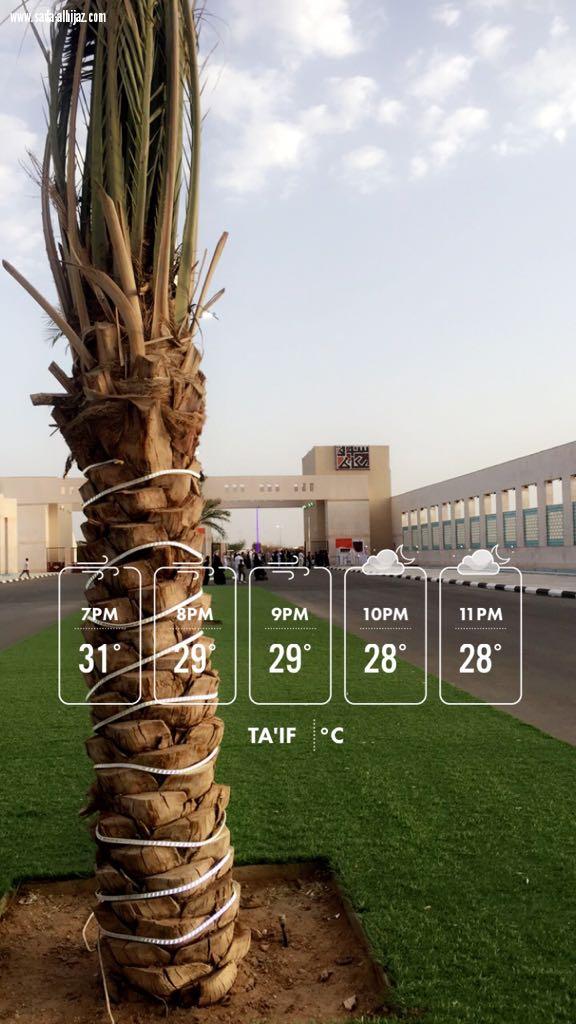 سوق عكاظ مفاجأة غير متوقعة