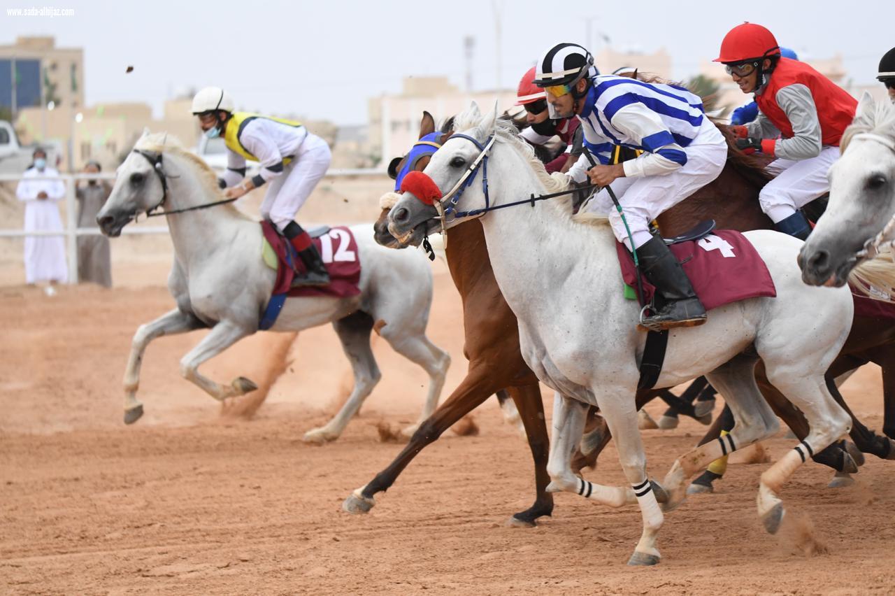 *ستون ألف ريال جوائز الفائزين في المحفل الثالث على ميدان فروسية العقيق بالباحة*