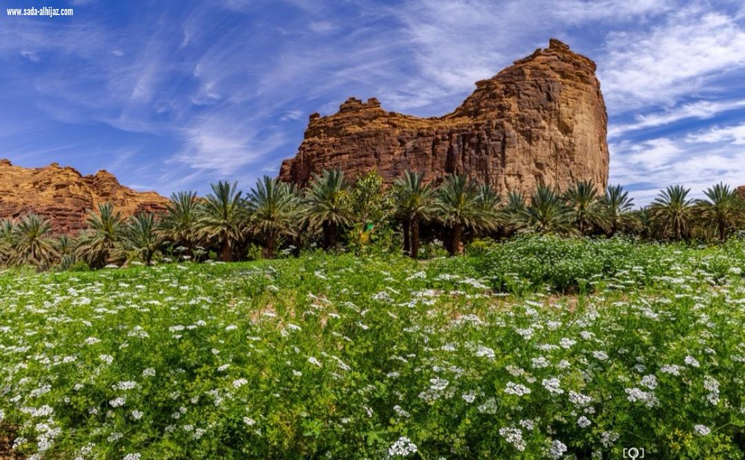 مؤتمر الضيافة الافتراضي في نسخته الثانية بمشاركة الهيئة الملكية لمحافظة العلا