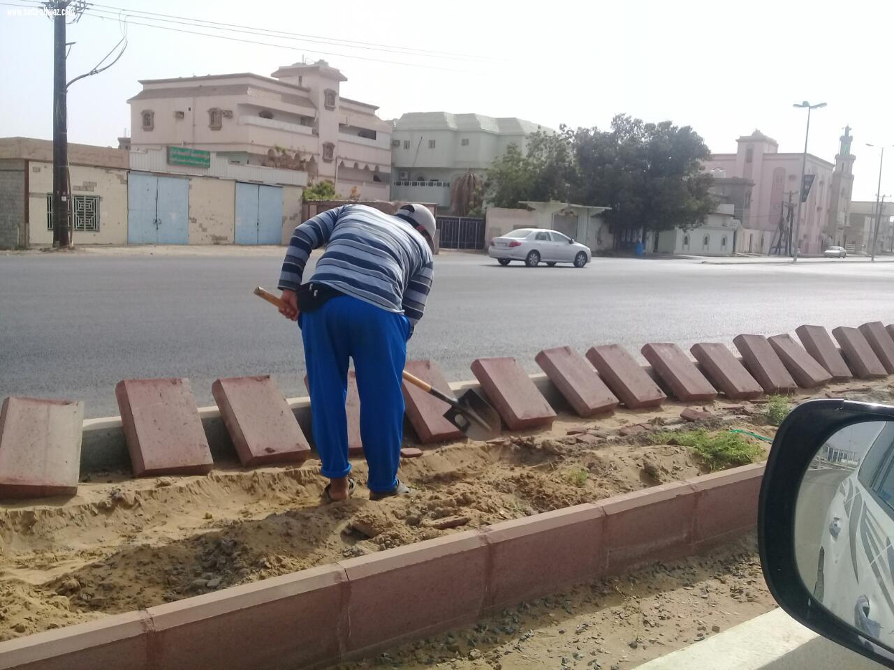 بلدية محافظة الطوال تبدأ بمشروع تحسين وتجميل مداخل ومخارج المحافظة