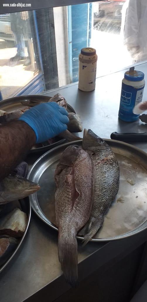 أمانة جدة تتلف 194 كيلو من الأسماك الفاسدة وتزيل بسط عشوائية بنطاق خزام