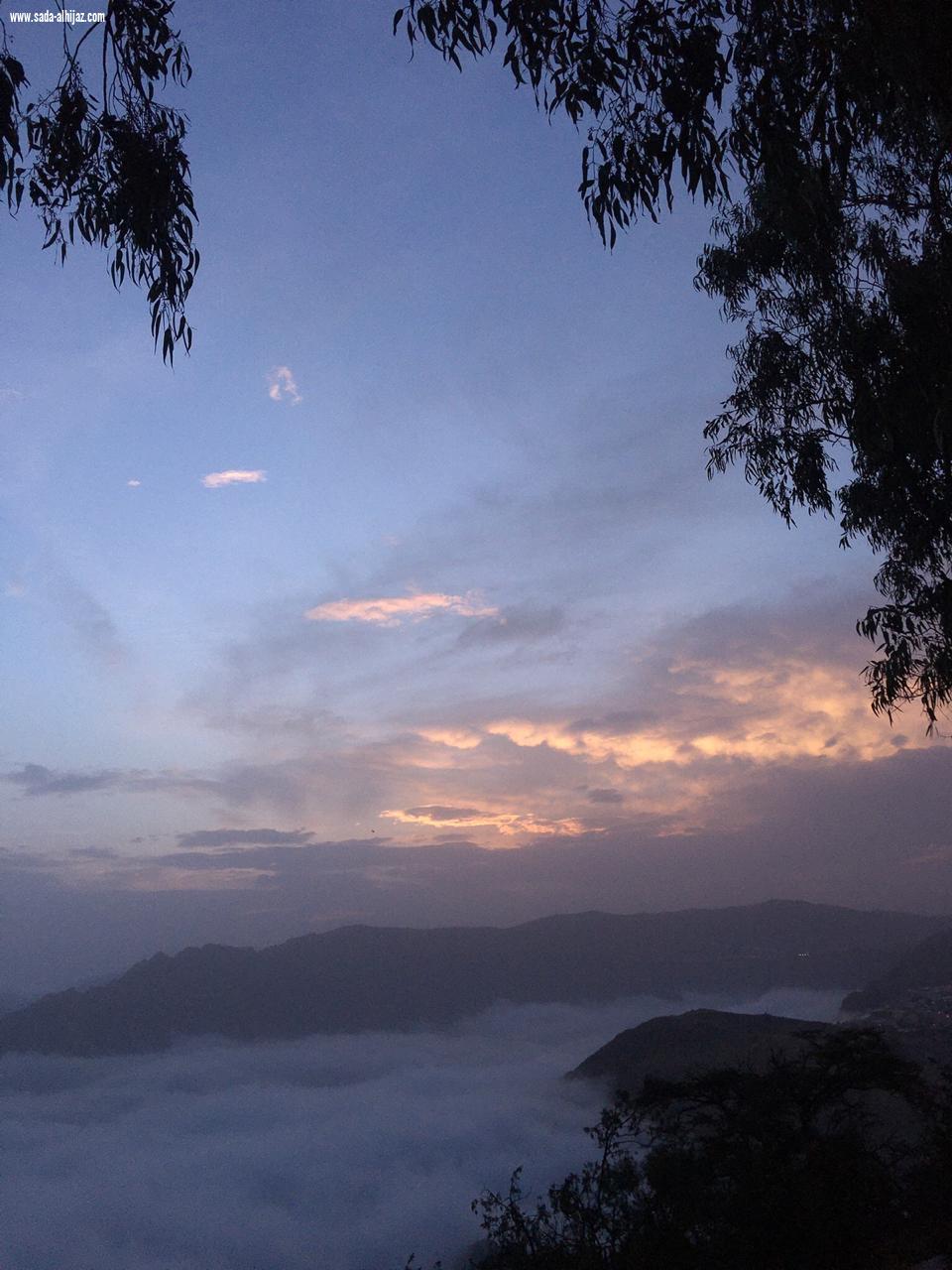 الباحة واحة الغناء و حديقة الحجاز...