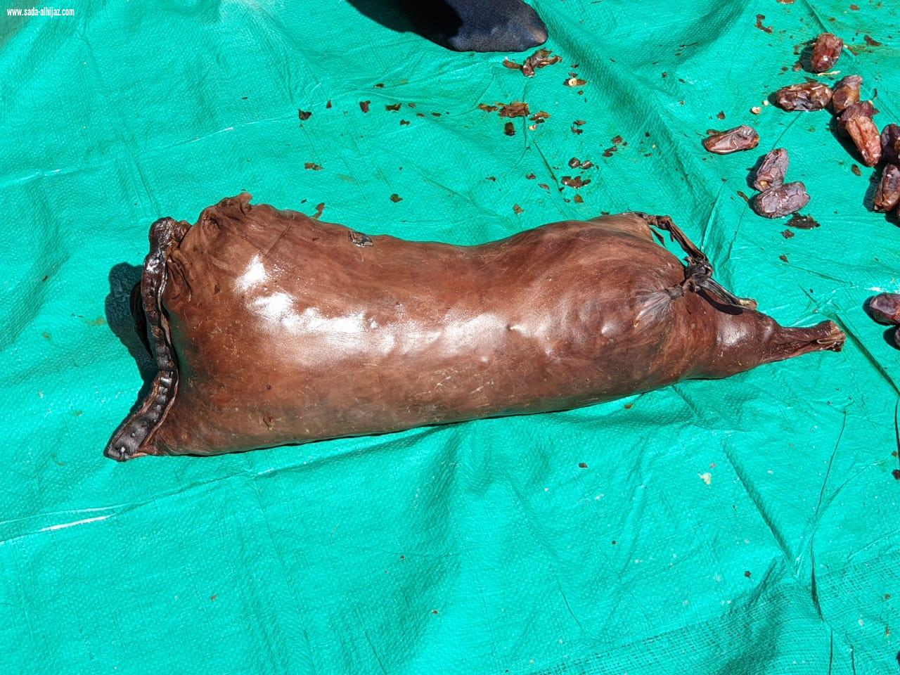 أهالي العلا،على موعد مع ظهيرة سبت ساخنة في مهرجان تمور الشنة،والمجلاد