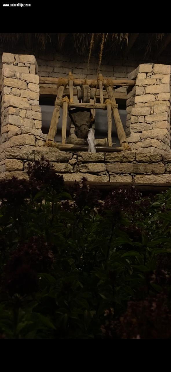 صفوف الحجاز تطلق مبادرة نعود بحذر 