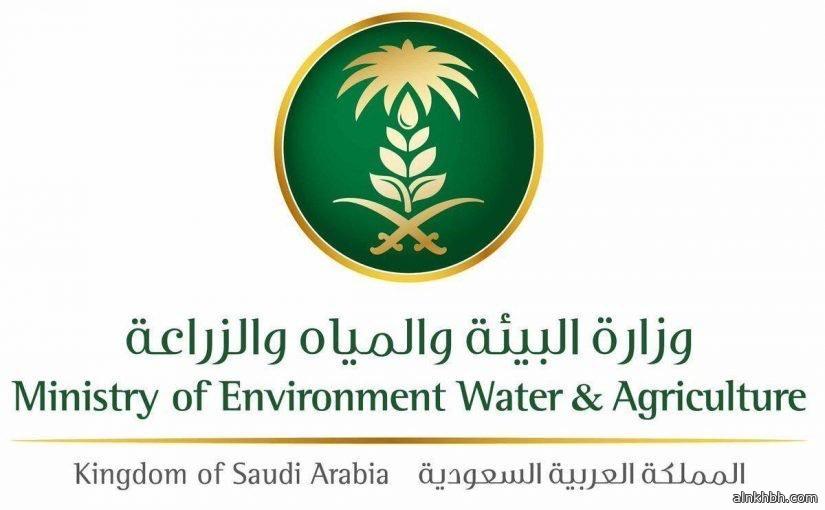 البيئة تعلن بدء تطبيق اللائحة التنفيذية للمواد المستنفدة لطبقة الأوزون ومركبات الكربون الهيدروفلورية في المملكة  