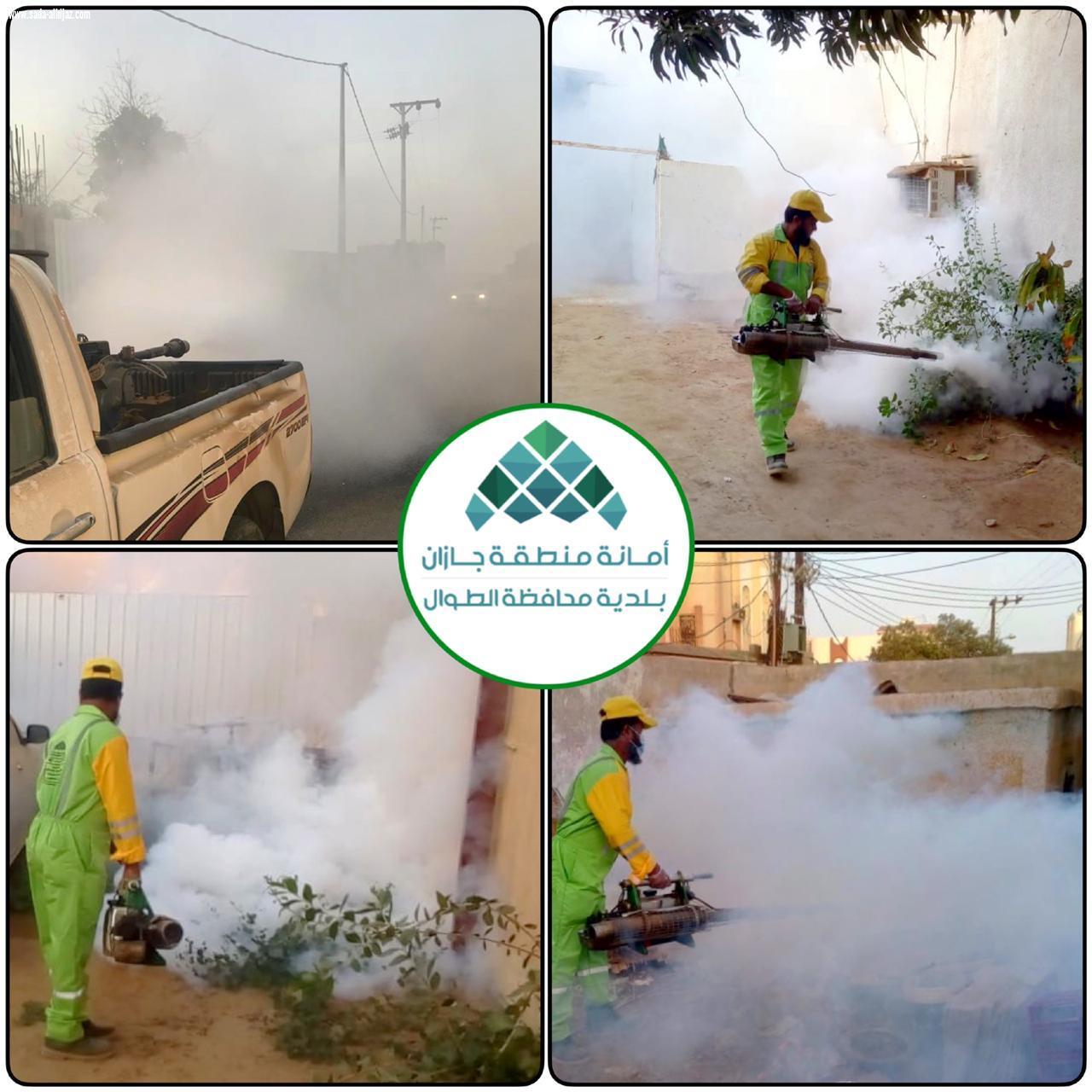 بلدية محافظة الطوال تكثف أعمال الإصحاح البيئي ومكافحة آفات الصحة العامة