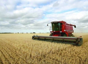 المملكة تنهي ترسية الدفعة الرابعة من القمح المستورد