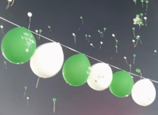 قروب مرحبا يحتفل باليوم الوطني 91 