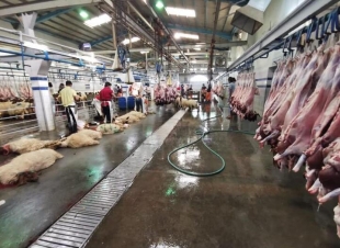 أمانة_الشرقية: تستقبل أكثر من 15 ألف ذبيحة خلال أول أيام عيد الأضحى وسط منظومه متكاملة من الخدمات