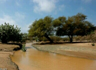 غرق طفل داخل مجرى وادي العقيق جنوب المدينة