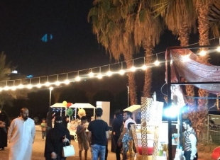 جلسه مدينيه في سكة الحجاز