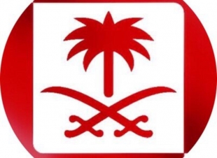 القنوات الرياضية تنقل مواجهة الأخضر أمام جامايكا.. غداً