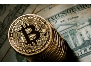 البيتكوين ربح ام خساره 