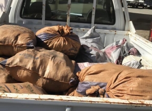 بجهود مشتركة البيئة تصادر 120 طنًا من الحطب المحلي في 4 مناطق