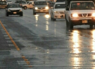 شاهد الأمطار تنعش أجواء المدينة وتدفع الأهالي للتنزه